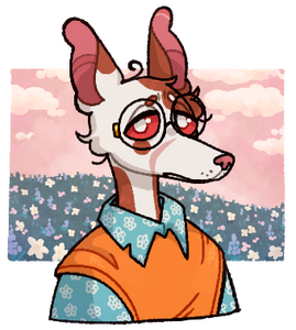 antonio / smollfungi (af)